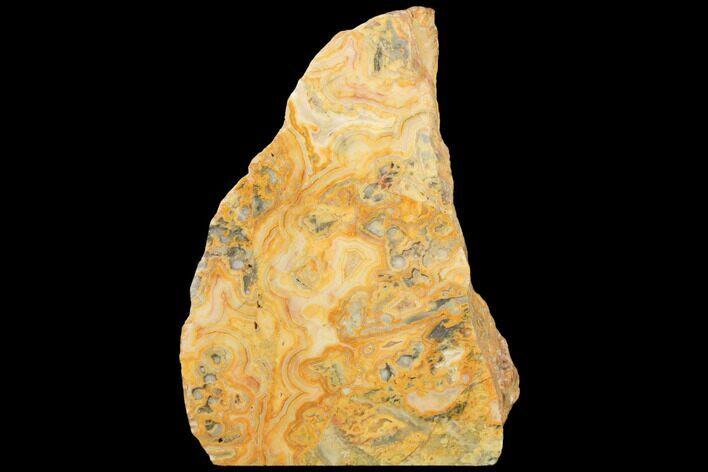 Free-Standing, Polished, Crazy Lace Agate Section - Australia #133024